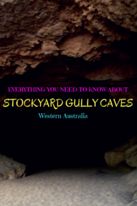 STOCKYARD GULLY CAVES