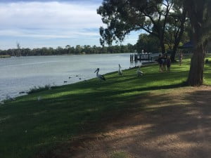 renmark