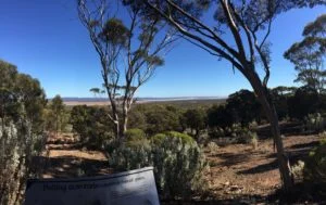 nullarbor