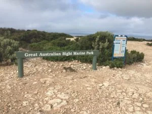 nullarbor