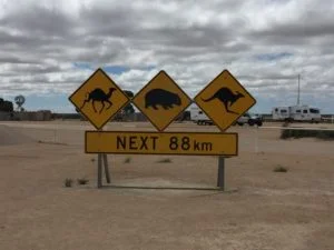 nullarbor