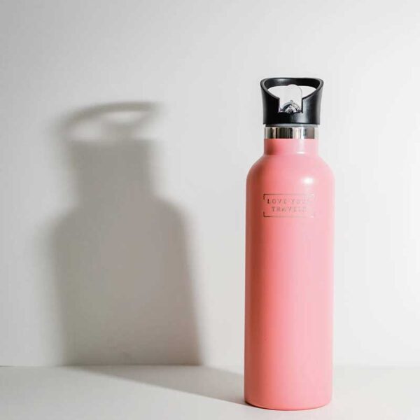 750ML Insulated Water Bottle Pink - Love Your Travels